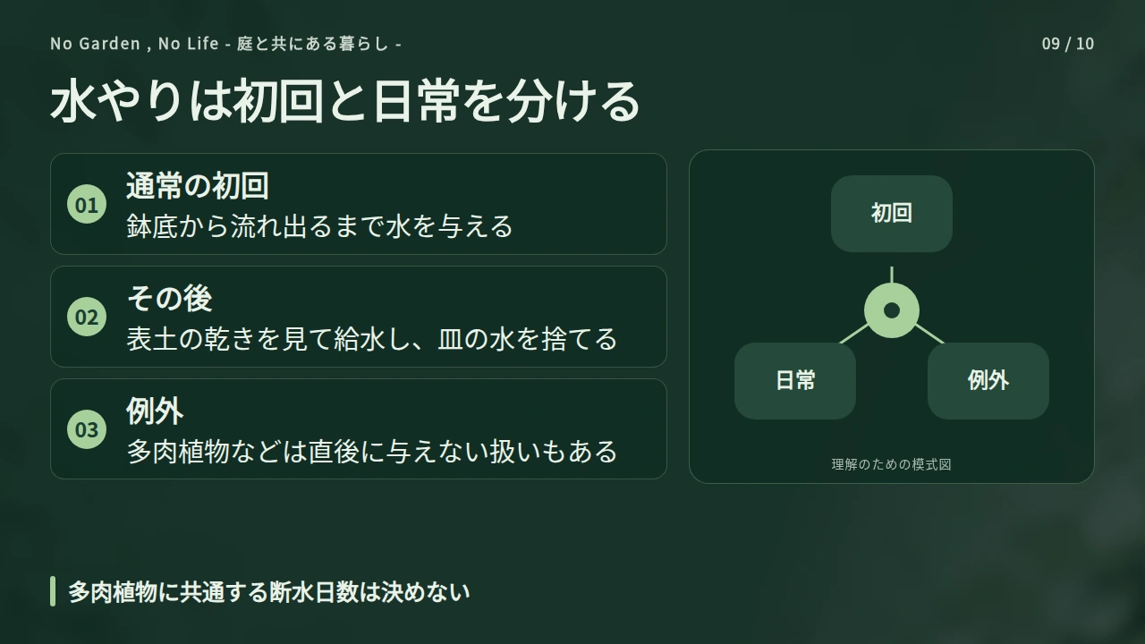 仕上げの水やりと、その後の給水を分けて考えるの要点と図解